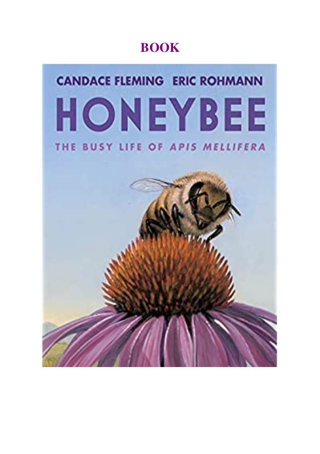 Honeybee- The Busy Life of Apis Mellifera