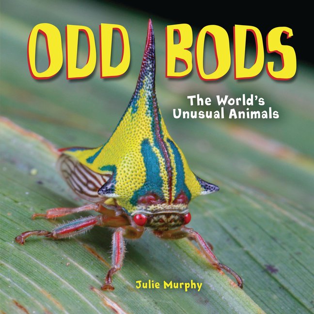 Nonfiction books for 1st graders: Odd Bods