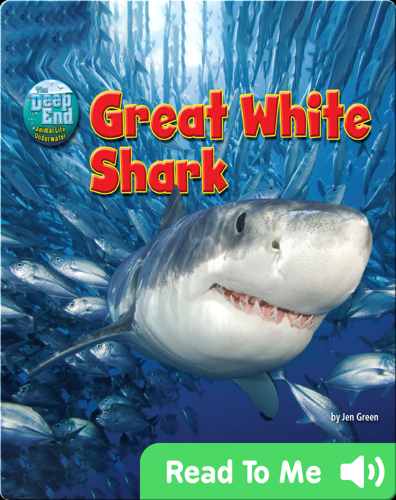 Nonfiction books for 1st graders: Great White Shark