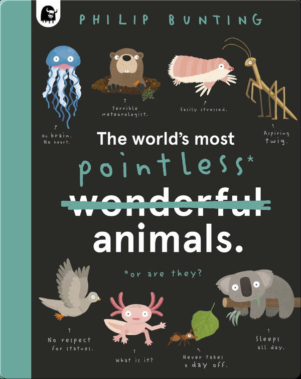 The World's Most Pointless Animals- Or are they?