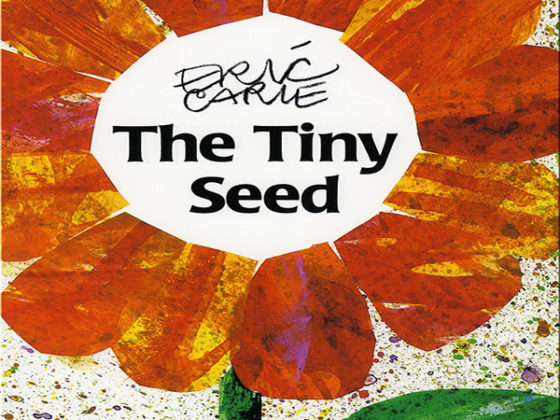 Kindergarten Picture Books: The Tiny Seed