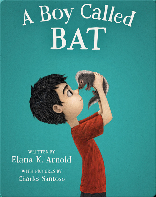 Books for 3rd Graders: A Boy Called Bat