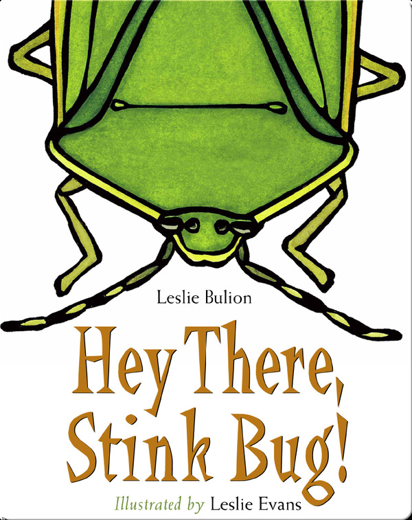 Hey There, Stink Bug!
