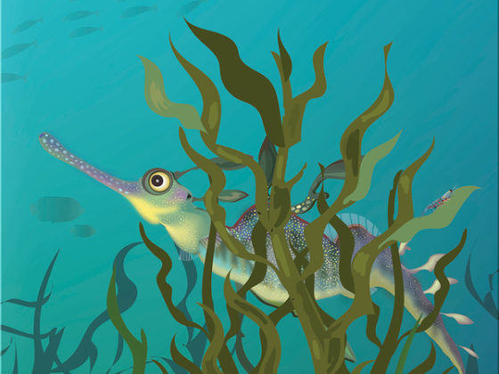 Nonfiction Books for 3rd Graders: Squidtoons