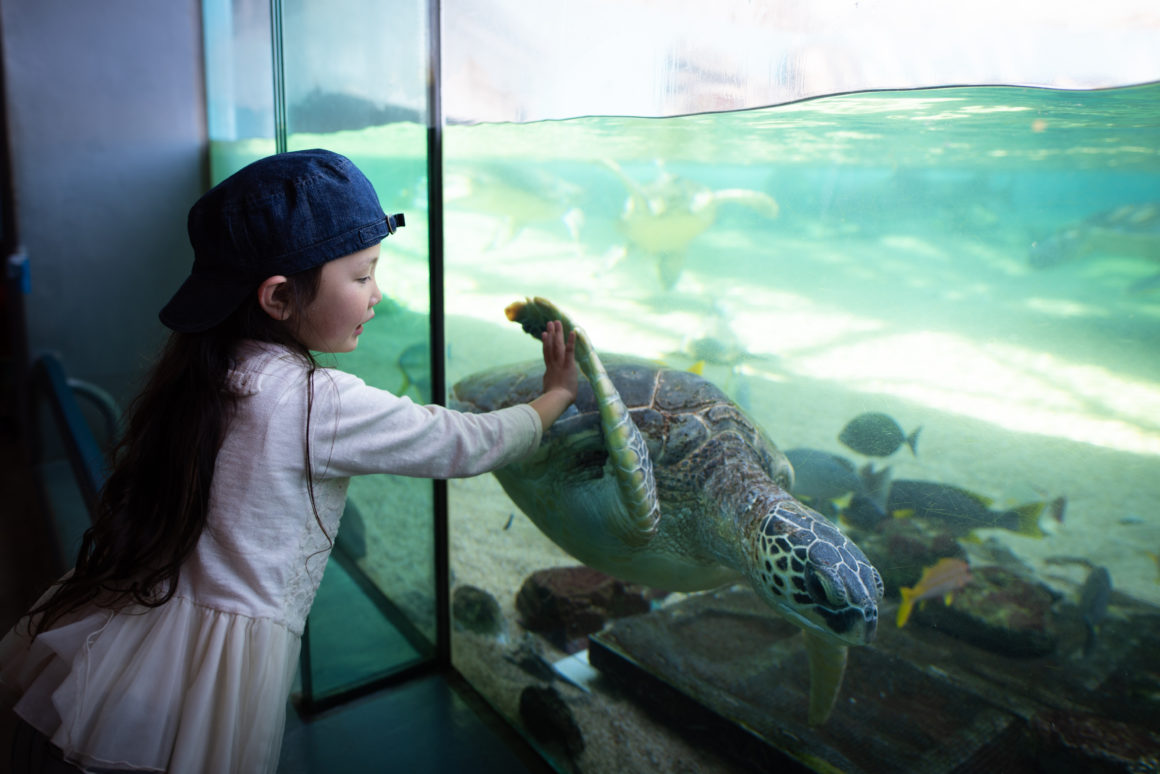 What is Summer Slide?