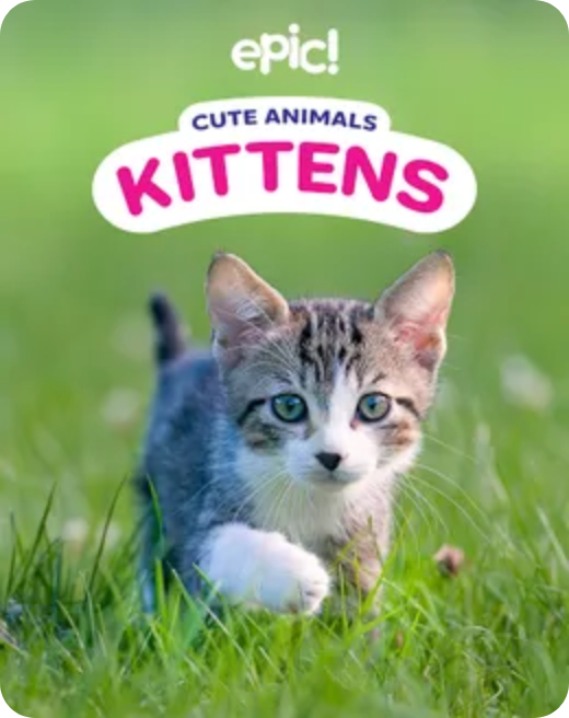 Young reader exploring Cute Animals: Kittens book on Epic