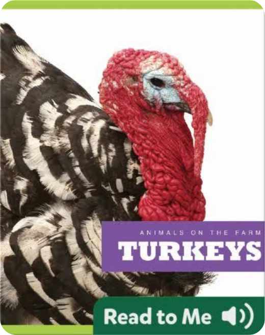Book cover of Turkeys, an early reader Thanksgiving nonfiction book for kids